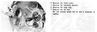 Filename=shopman-gearbox.jpg
Filesize=43KB
Dimensions=946x311
Date added=Jun 26, 2013 shopman-gearbox.jpg